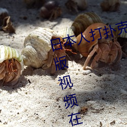 日本人打扑克又痛又叫全集高清正版视频在线观看