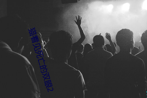 猫看见死亡的双眼2