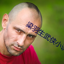 梁羽生武侠小说全集 （国有）