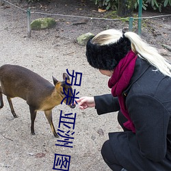 另類 亞洲 圖片 激情 歐美