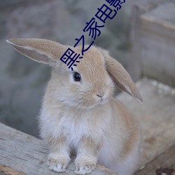 黑之家电影