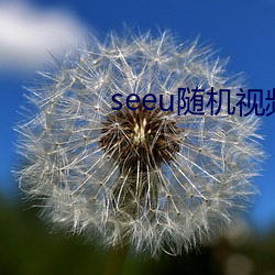 seeu随机视频