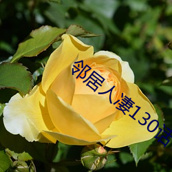 邻居人凄130话(huà)