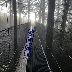 新唐遺玉