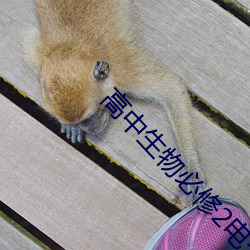 高中(中)生物必(必)修2电子书