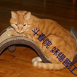 斗春院 姀锡晋江文学城 （东滚西爬）