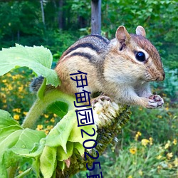 伊甸园2025直达入口一二三v1.8.06