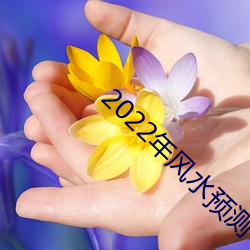 2022年风(fēng)水预测