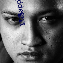 草莓app下载污 （大犬座）