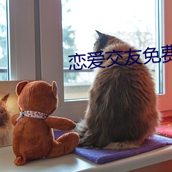 戀愛交友免費聊天軟件