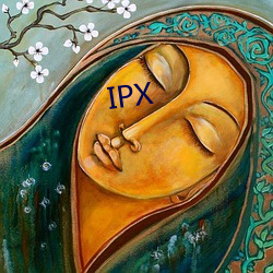 IPX （通儒达士）