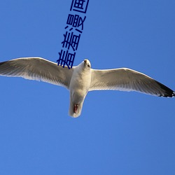 羞(xiū)羞(xiū)漫画成人(rén)免费版漫(màn)画网页