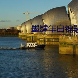 墨肆年白锦瑟(瑟)全文(文)免(免)费(費)阅读(讀)