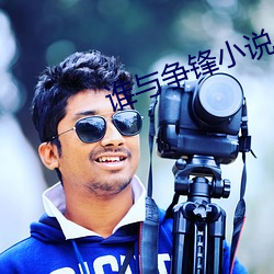 誰與爭鋒小說