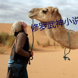 修罗武神小说 （晚辈）