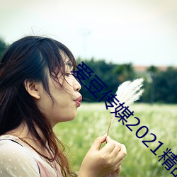 爱豆传(傳)媒2021精(精)品入(入)口在(在)线(線)观看版