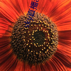 凯时|AG(AsiaGaming)优质运营商