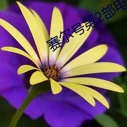 赛尔号第2部电影