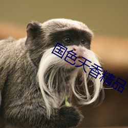 国(國)色(色)天香精品