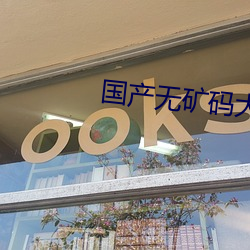 国产无(無)矿码(碼)大象网站