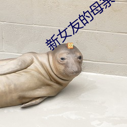 新女友(yǒu)的(de)母亲