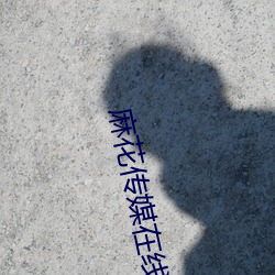 麻花传媒在线观看视频