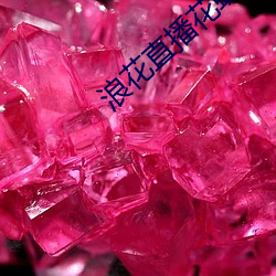 浪花直播花蝶