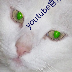 youtube官(官)方(方)下(下)载(載)