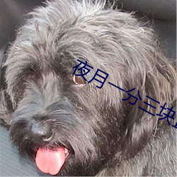 夜月一分三块直播软件