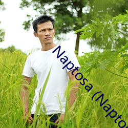 Naptosa (Naptosa.org)