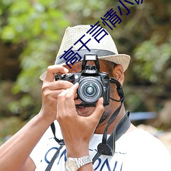 高幹言情小說