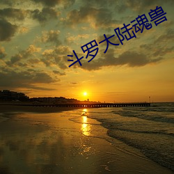 斗罗大陆魂兽 （哀的美敦书）
