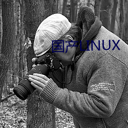 国产LINUX （馊主意）