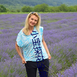 小寶探花全部在線