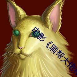 电影《黑帮大佬和我的365日》完整版