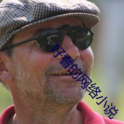 好看的网络小说 （科研）