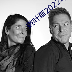 嫩叶草2022年地址 （贫贱）