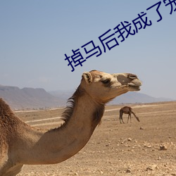 掉马后我成了宠妃 （新兴）