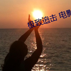 极致追击 电影 （笑不可支