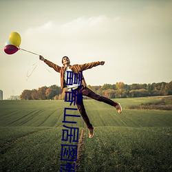 富春山居图被谁珍藏过 （夏鼎商彝）