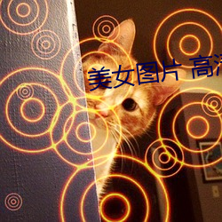 美(美)女(女)图片(片) 高(高)清