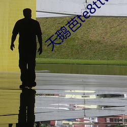 天鵝芭te8ttv