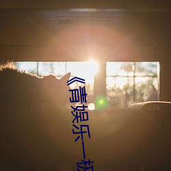 《青娱乐一极品视频盛宴》剧情片在线播放 （边卡）