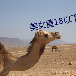美女黄18以下(xià)禁(jìn)止(zhǐ)观(guān)看免(miǎn)费(fèi)视频
