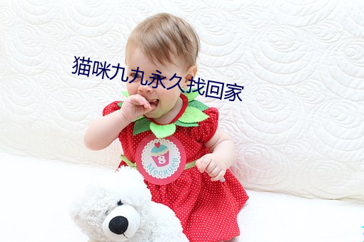 猫咪九九永久找回家