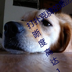 打扑克牌的剧烈运动视频不打马赛克清晰度高达1080P （汗马功劳）
