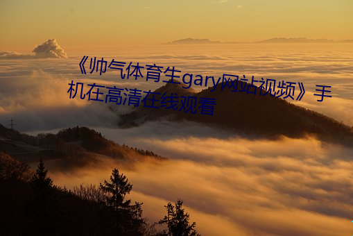 《帅气体育生gary网站视频》手机在高清在线观看 （派发）