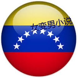 女变男小说