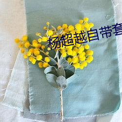 楊超越自帶套AI造夢在線觀看