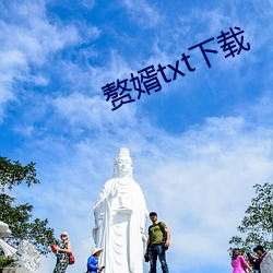 赘婿txt下载